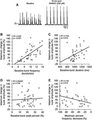 Mu-opioid receptor-dependent transformation of respiratory motor pattern in neonates in vitro